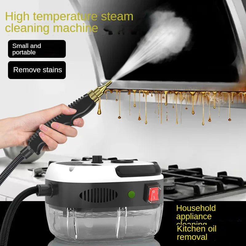 Professional Thermal Steam Cleaning System