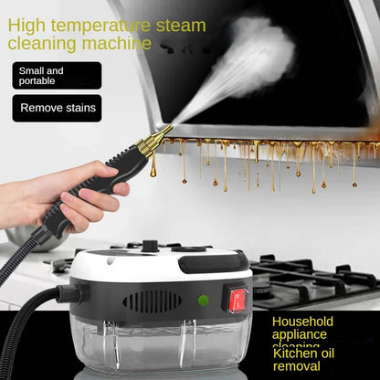 Professional Thermal Steam Cleaning System